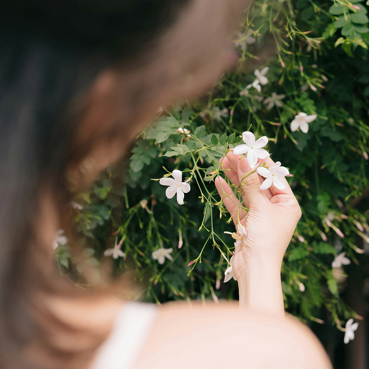 αρώματα με γιασεμί