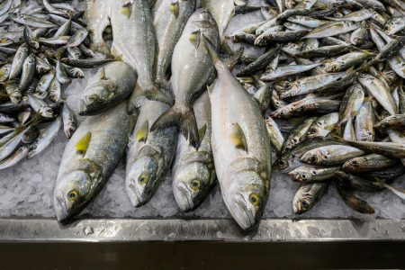 Άσε τον μπακαλιάρο και πιάσε τον γερμανό: Ώρα να αλλάξουμε προτιμήσεις στην ψαροφαγία