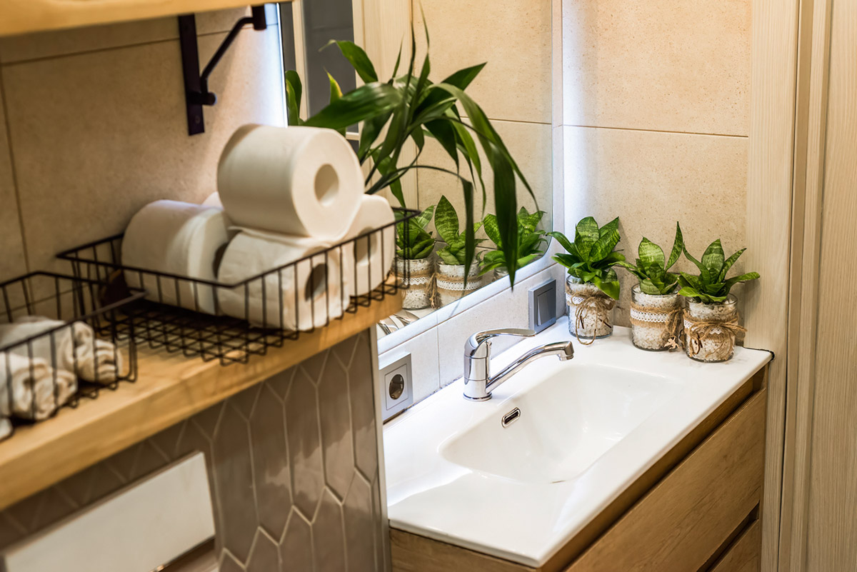 φυτά και μπάνιο