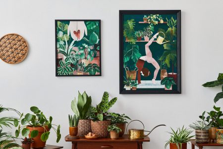 Έχει 120 φυτά και μοιράζεται 3 tips για να κρατήσεις ζωντανά και τα δικά σου