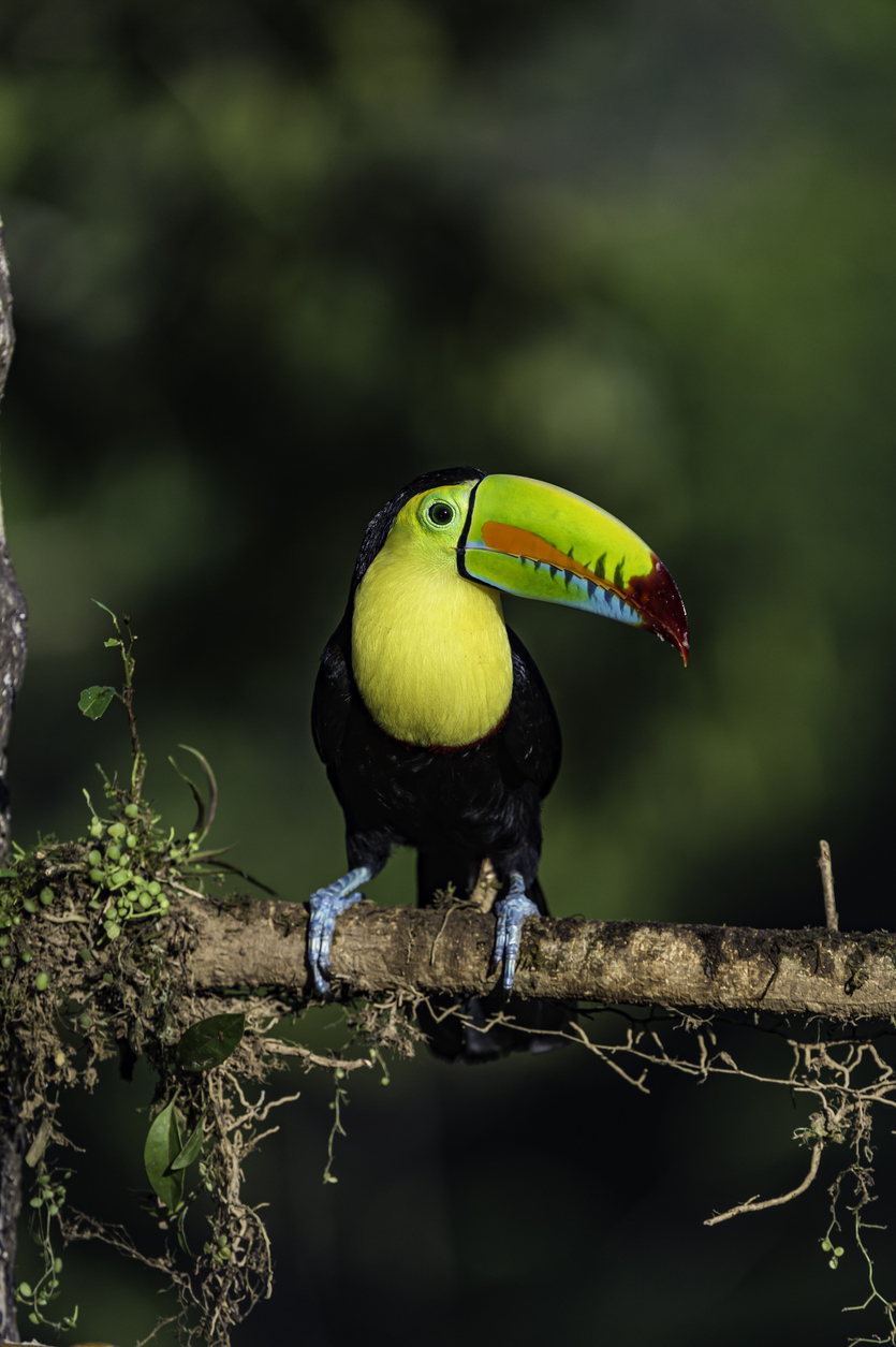 Οι ειδικοί συμφωνούν: Αυτός είναι ο top προορισμός για απόλυτη ξεκούραση