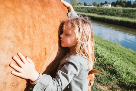 Ενιαία Υγεία: Μια αρχαία ιδέα που έγινε σύγχρονο μοντέλο δημόσιας υγείας