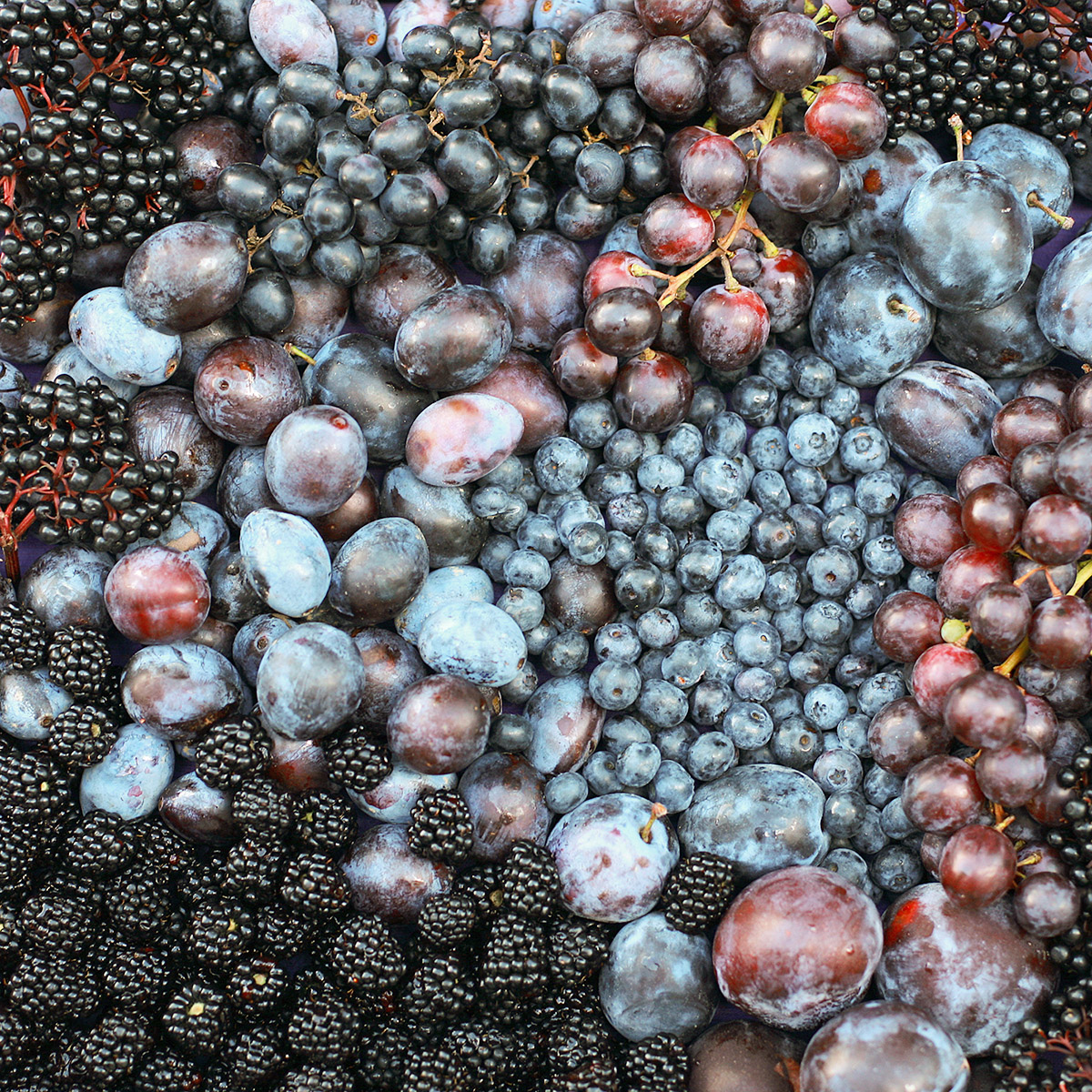 Μπορούν τα μούρα ή το κρασί να σε «γυμνάσουν» όπως η άσκηση;