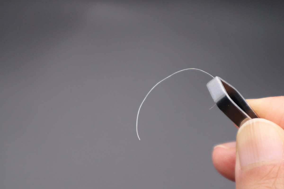 Ισχύει πως αν ξεριζώσεις μια λευκή τρίχα θα φυτρώσουν δύο στη θέση της;