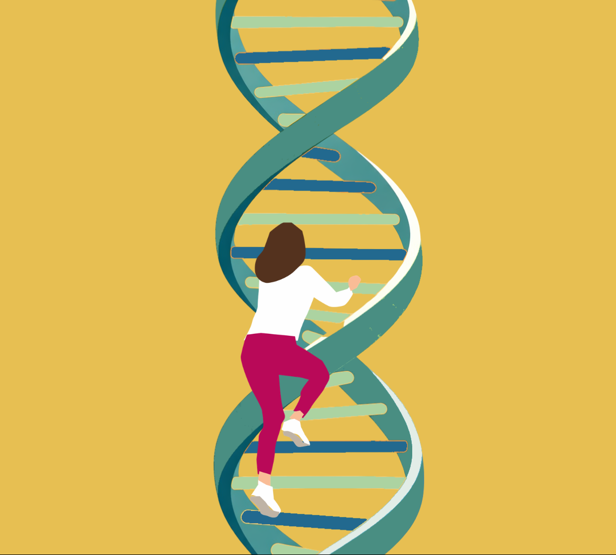 Η μακροζωία μας εξαρτάται τελικά από τα γονίδιά μας