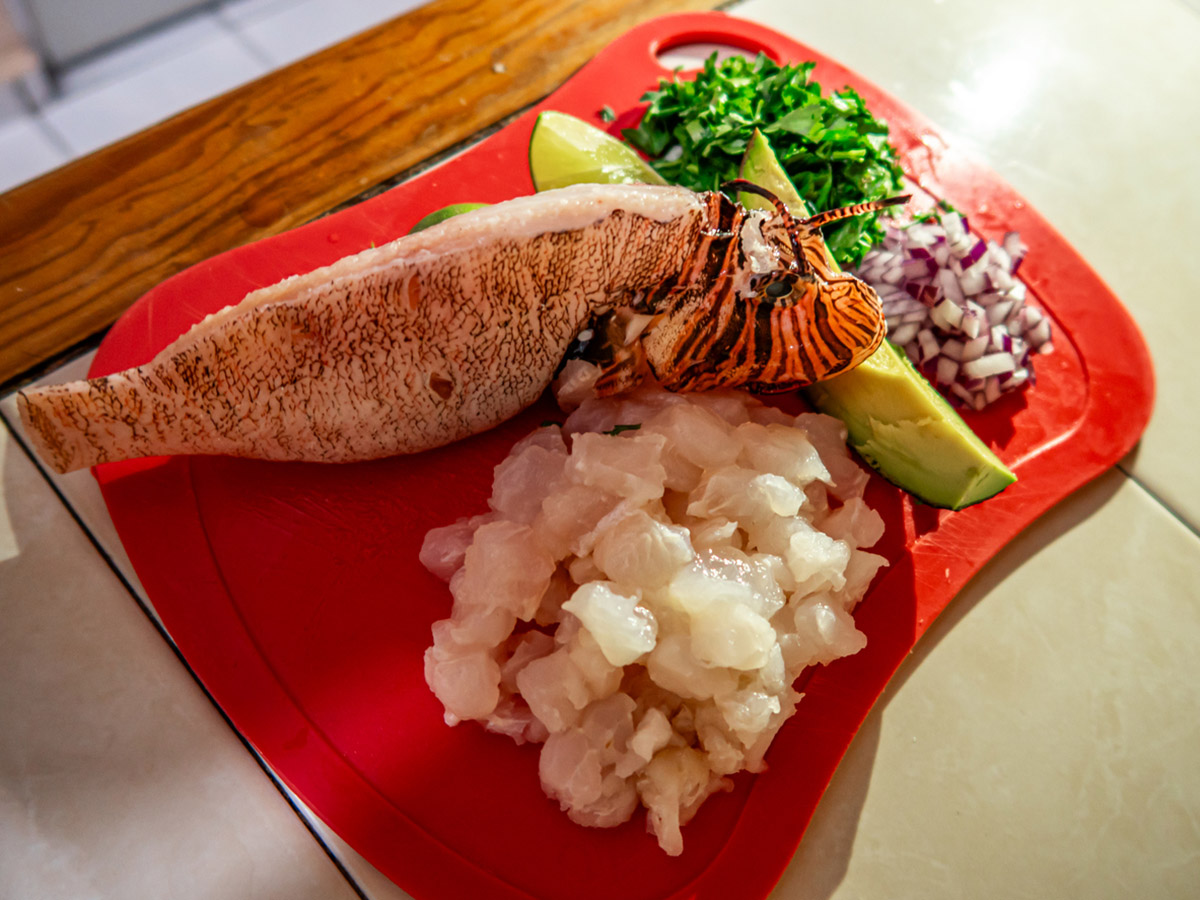 Άσε τον μπακαλιάρο και πιάσε τον γερμανό: Ώρα να αλλάξουμε προτιμήσεις στην ψαροφαγία