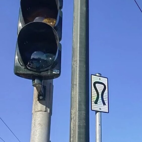 Η «κορδέλα» στο Ζάππειο που μπορεί να βελτιώσει την ψυχολογία μας