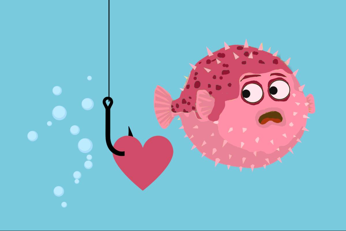 Puffer fish