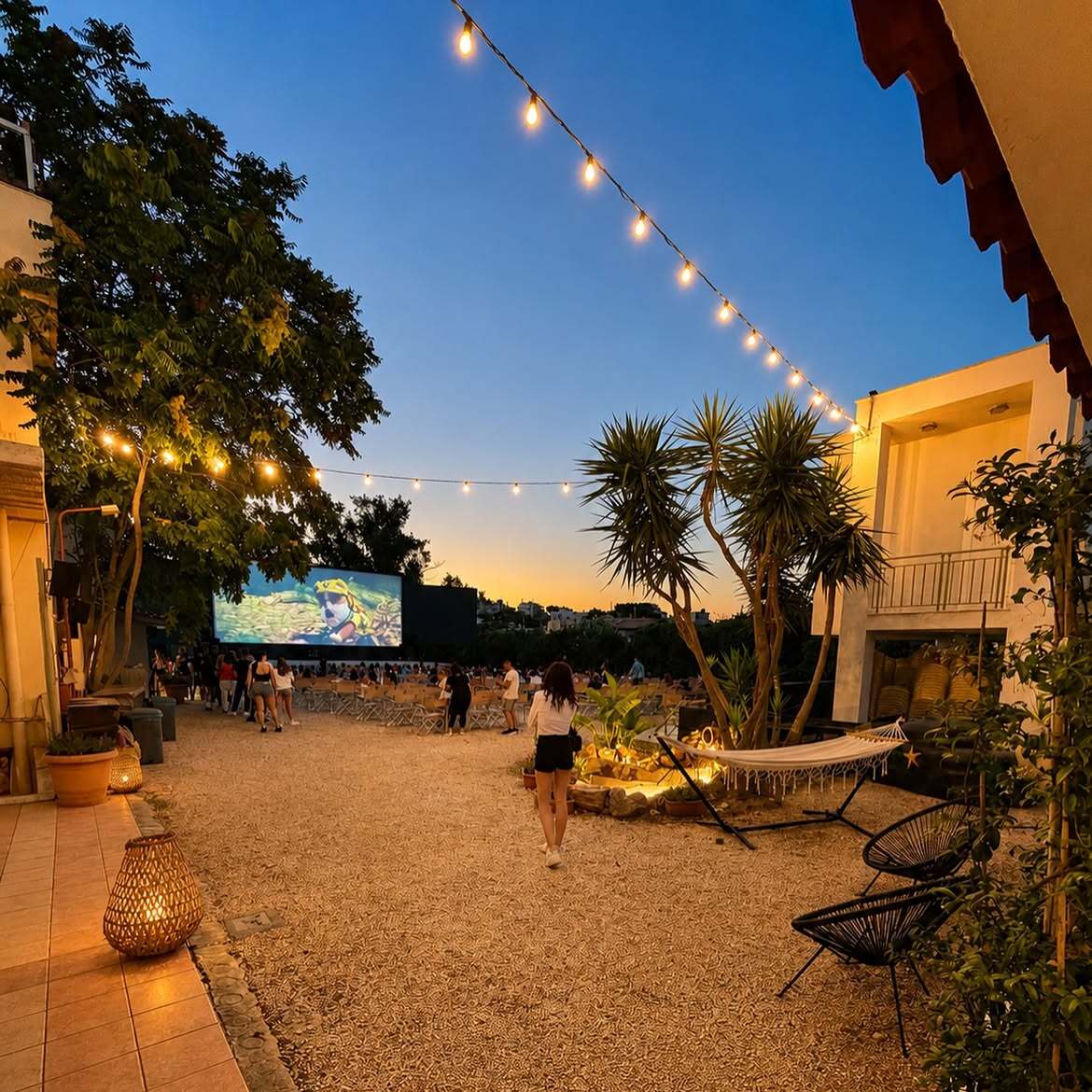 Alex cinema