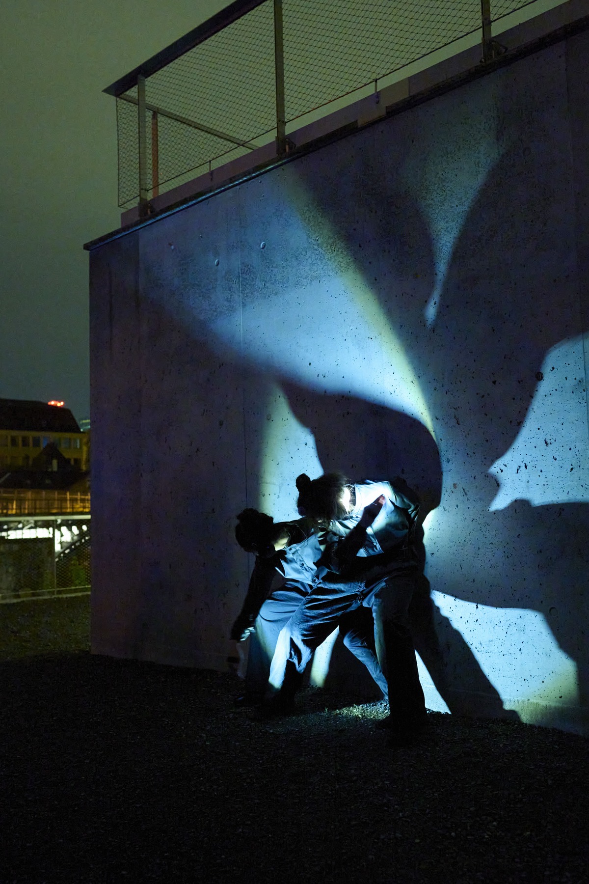 POLEIDOSKOP