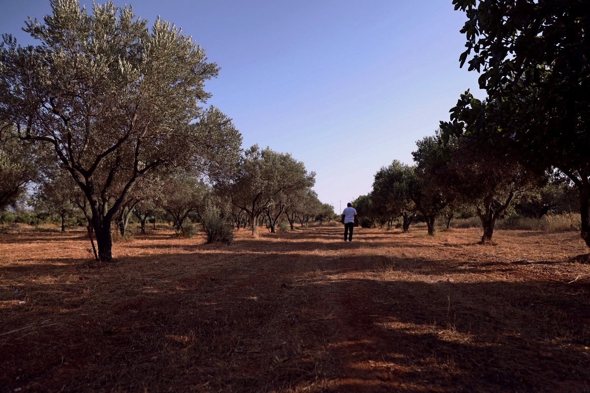 Ρομάν