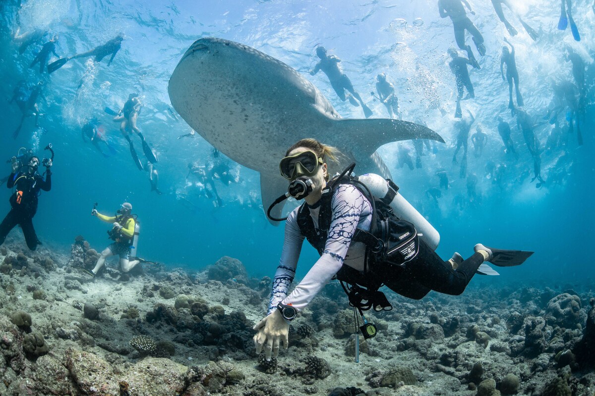 Οι πιο εντυπωσιακές φωτογραφίες των ωκεανών μας